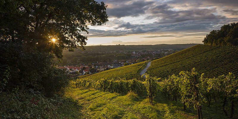 Blick ins Maintal Richtung Winterhausen