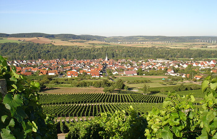 Thüngersheim Wege zum Wein