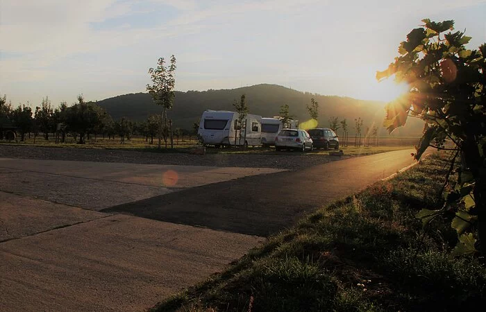 Zwei Wohnmobile und zwei Pkw(s) in den Weinbergen beim Sonnenuntergang
