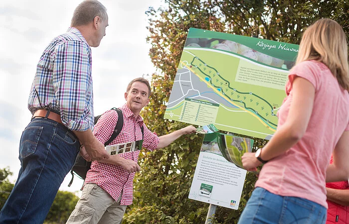 Kitzinger Weinwanderweg
