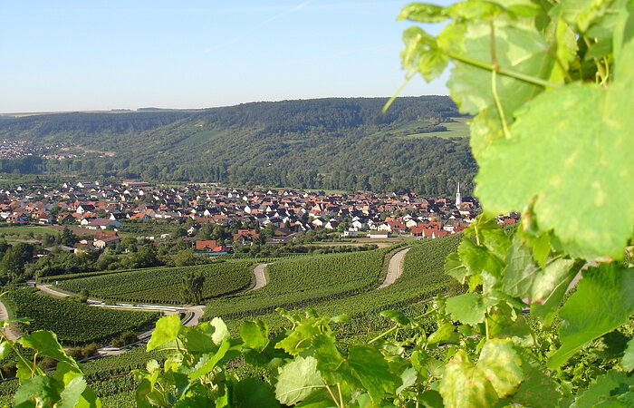 Weinweg Thüngersheim