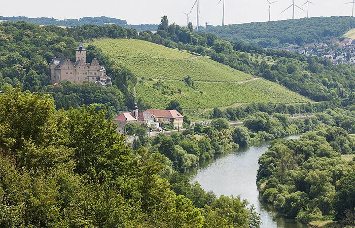 Landschaft Wald und Weinberge und Main
