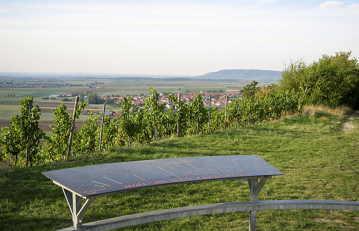 Weinspaziergang Willanzheim - Hüttenheim