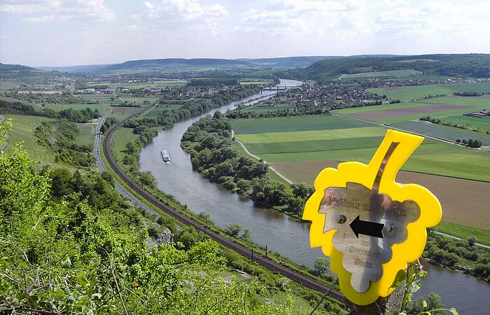 Blick von oben auf Main und Weinbergshänge