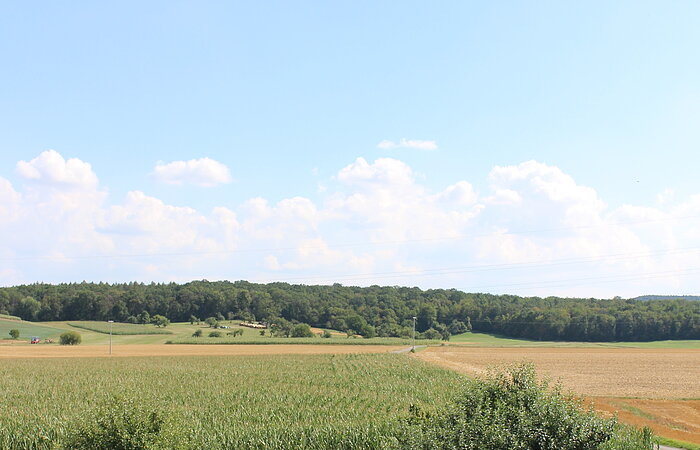 Erlebnisbauernhof Stierhof