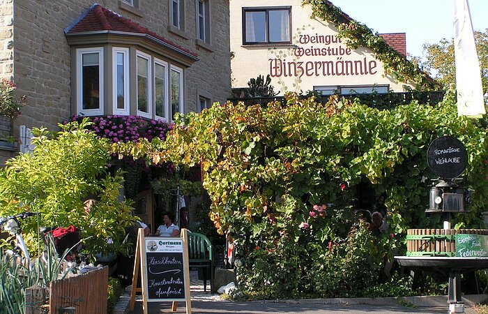 Weingut Winzermännle Handthal