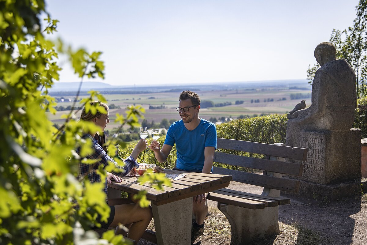 Oberschwarzach- Weinlage Wiebelsberger Dachs, FWL, Holger Leue