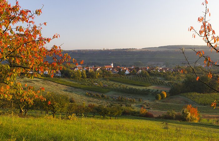 Blick auf Winterhausen