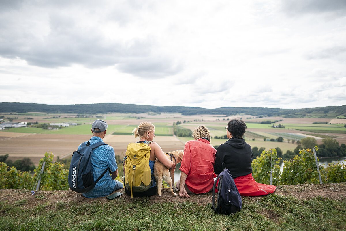 Eine Wandergruppe sitzt auf einer Weinbergsmauer und schaut in das Maintal