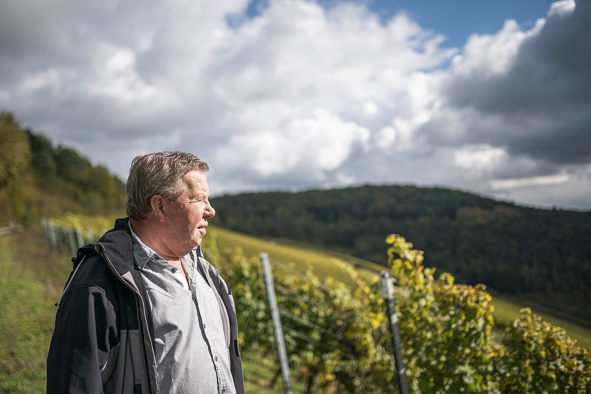 Der Gästeführer steht oberhalb eines Weinberges und genießt die Aussicht