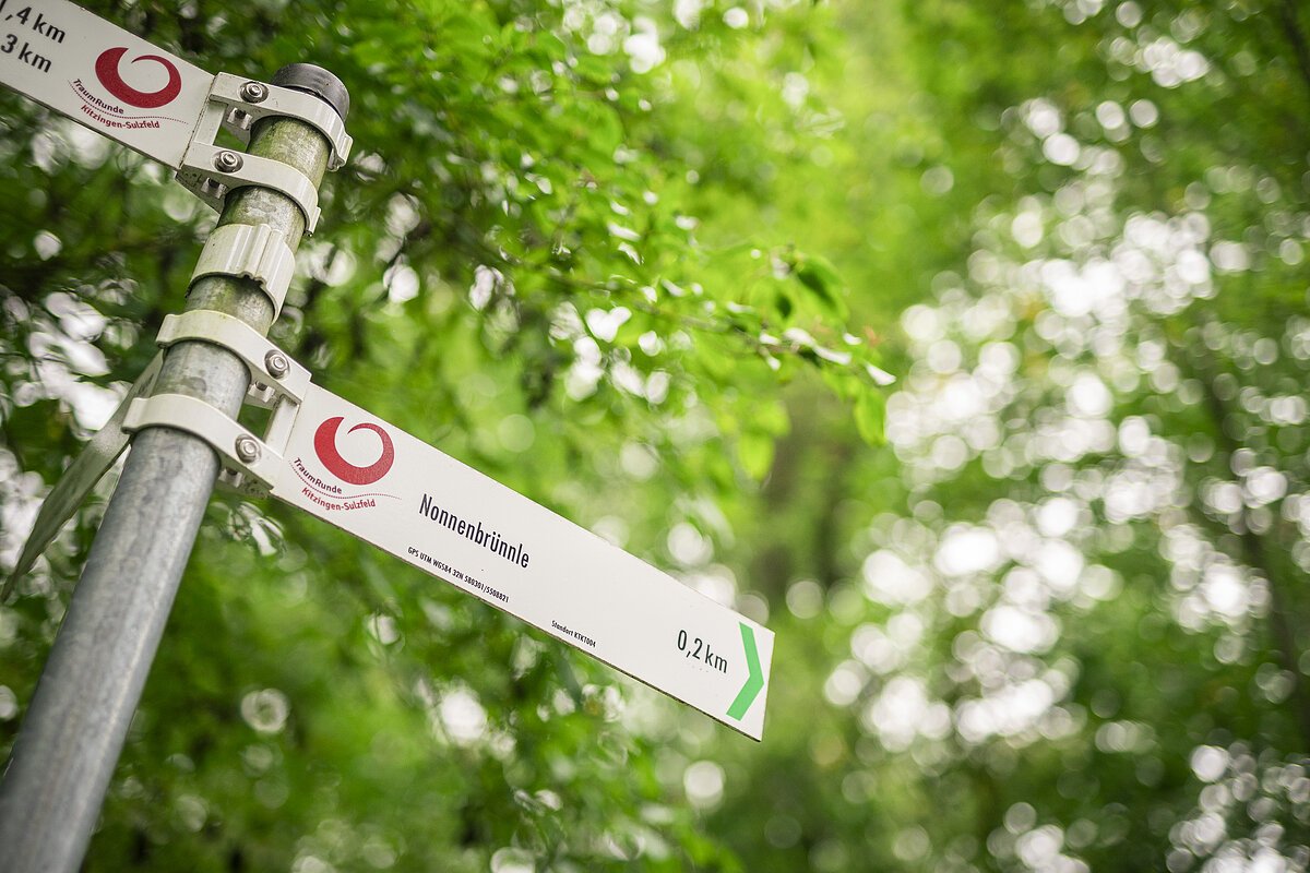 Im Wald steht ein Wegschild an einem Wanderweg