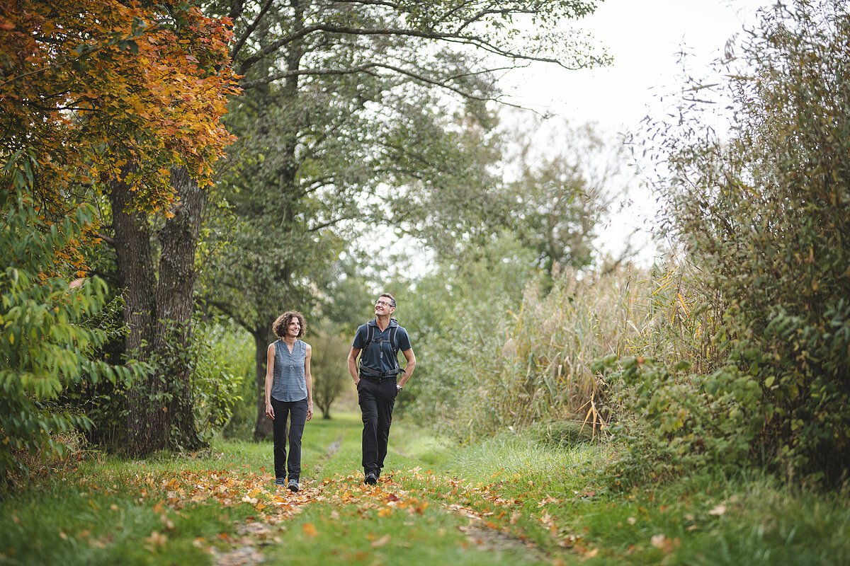 Zwei Menschen wandern zwischen Bäumen und Sträuchern