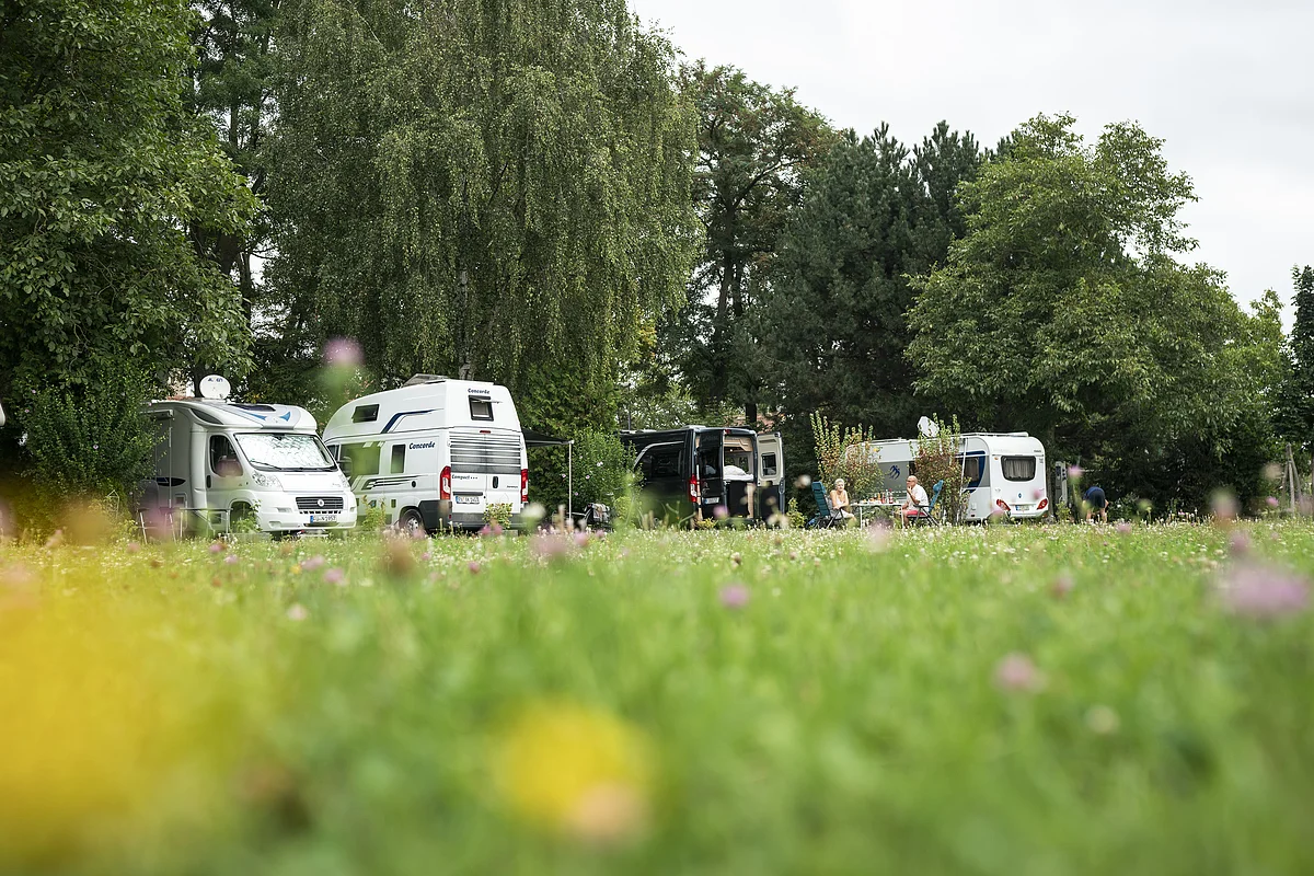 Camping & Wohnmobil im Frnkischen Weinland