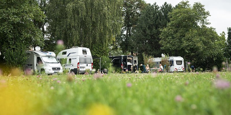 Campingplatz Segnitz