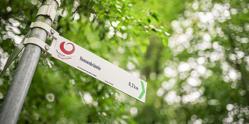 Wegweiser am Wanderweg im Wald