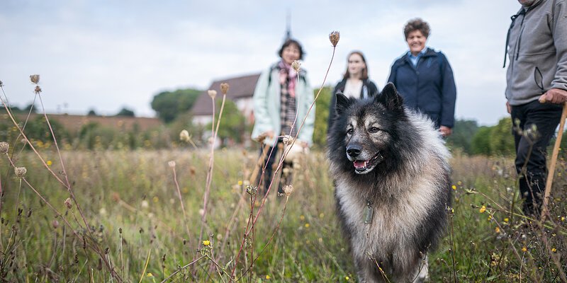 Wandergruppe steht mit Hund auf einer Wiese
