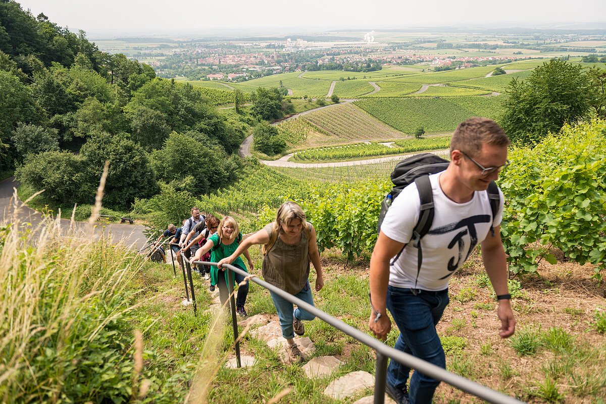 Eine Personengruppe wandert zum Geschichtsweinberg in Iphofen