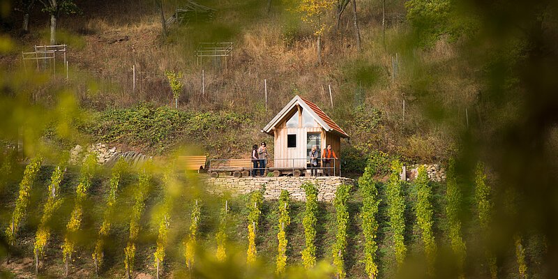 Weinbergshäuschen im Geschichtsweinberg in Iphofen