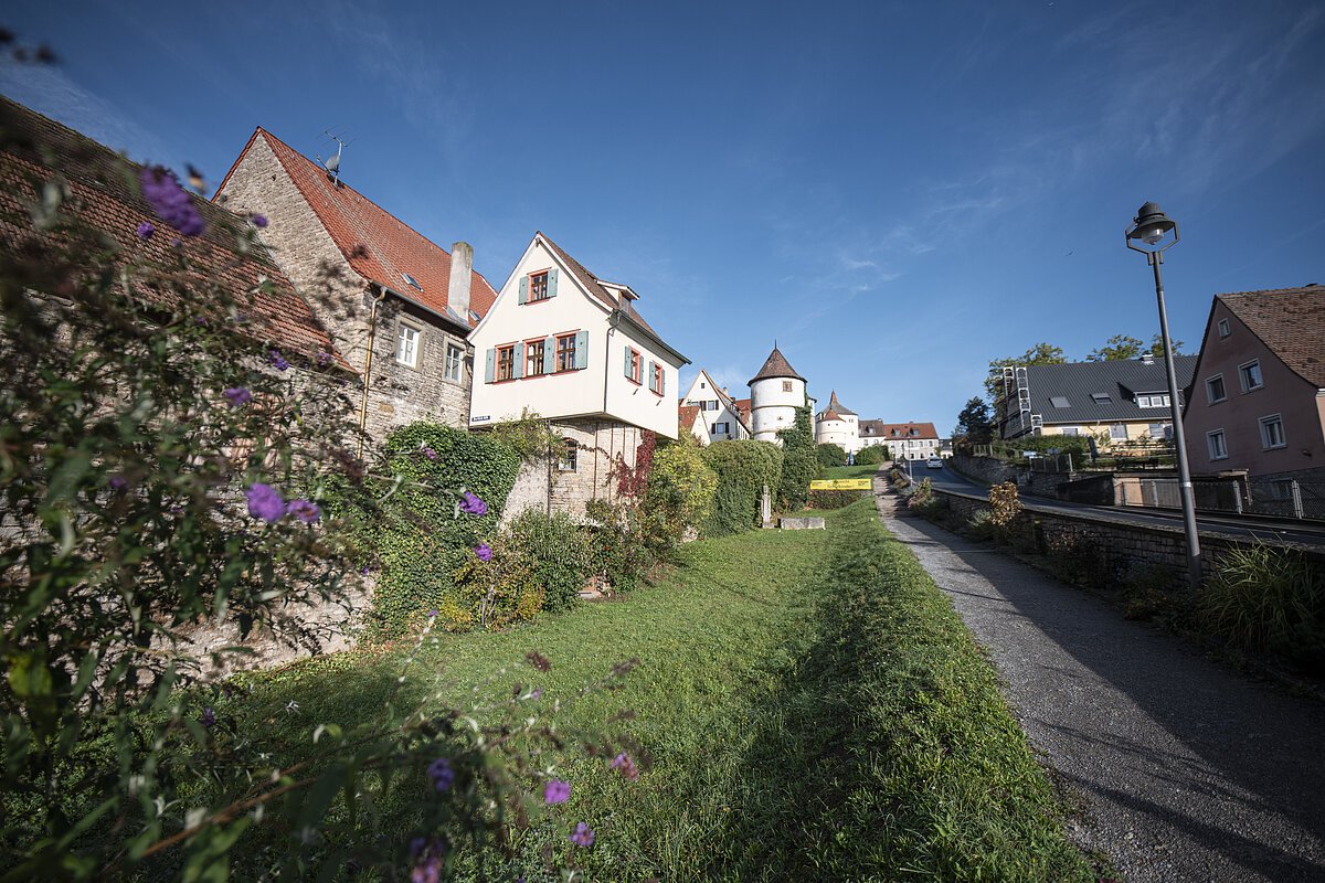 Stadtmauer von Dettelbach