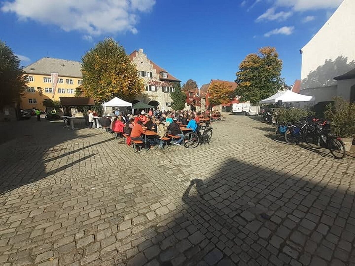 Weinherbst in Frickenhausen