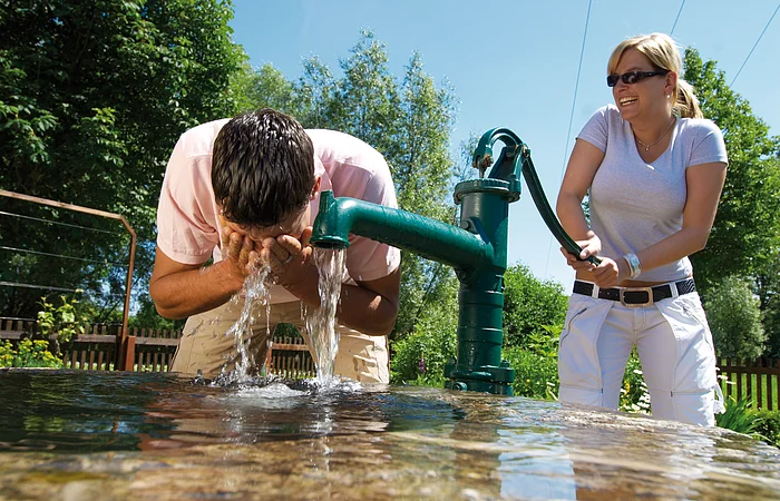 Europa, Deutschland, Franken, Fränkisches WeinlandEurope, Germany, FranconiaMai / Juni 2006