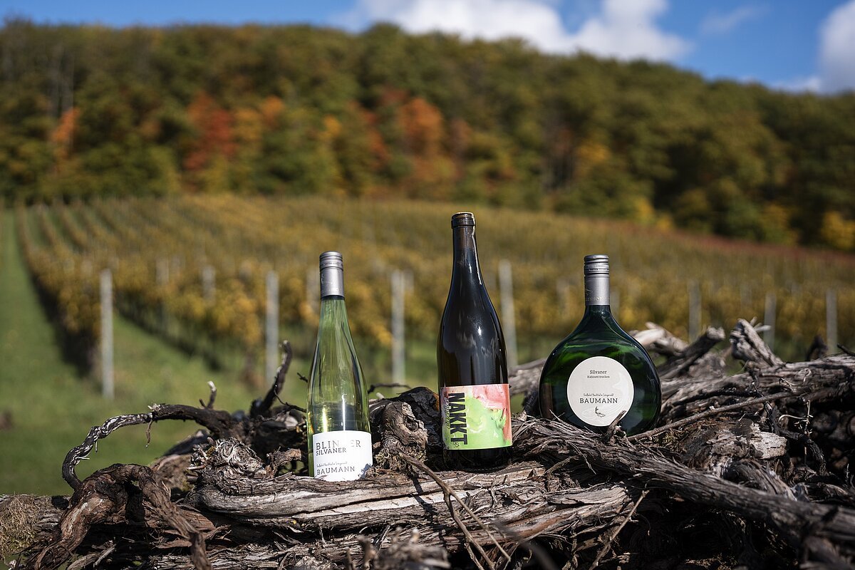 Weine vom Weingut Baumann Forellenhof 3 Weinflaschen vom Weingut Baumann Forellenhof - im Hintergrund ein Weinberg.