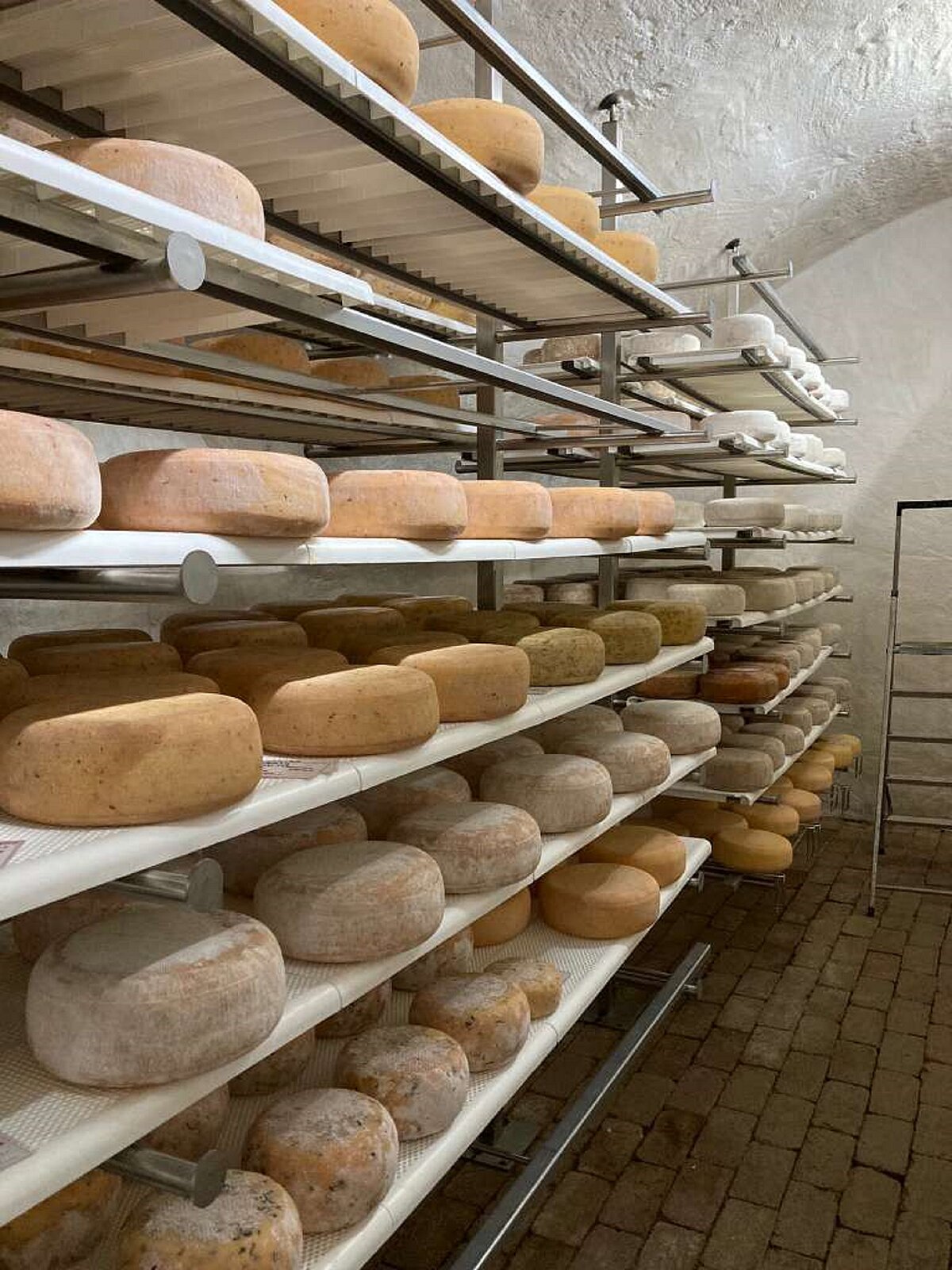 Die Käse liegen in Reihe im Lager und reifen heran.