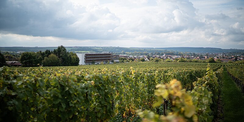 Außenaufnahme über die Weinreben auf das Sonnenhotel Weingut Römmert
