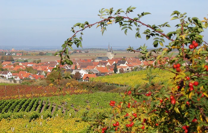Blick auf Hüttenheim