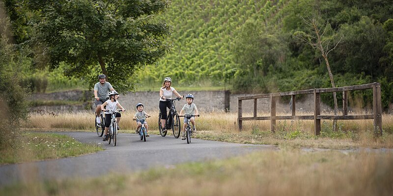 Eine Familie mit kleinen Kinder fährt Fahrrad