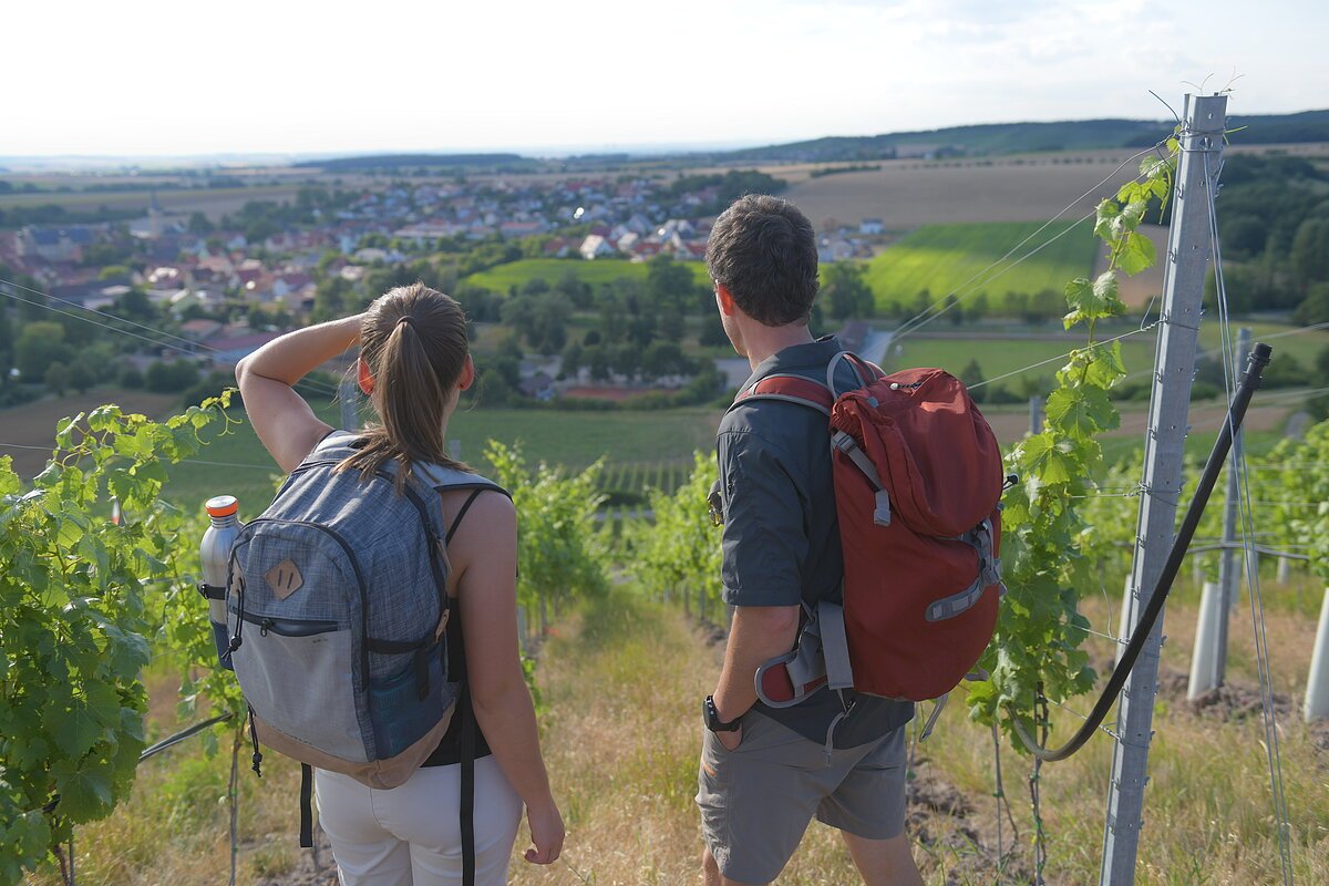 Oberschwarzach wandern zwei menschen wandern in den weinbergen