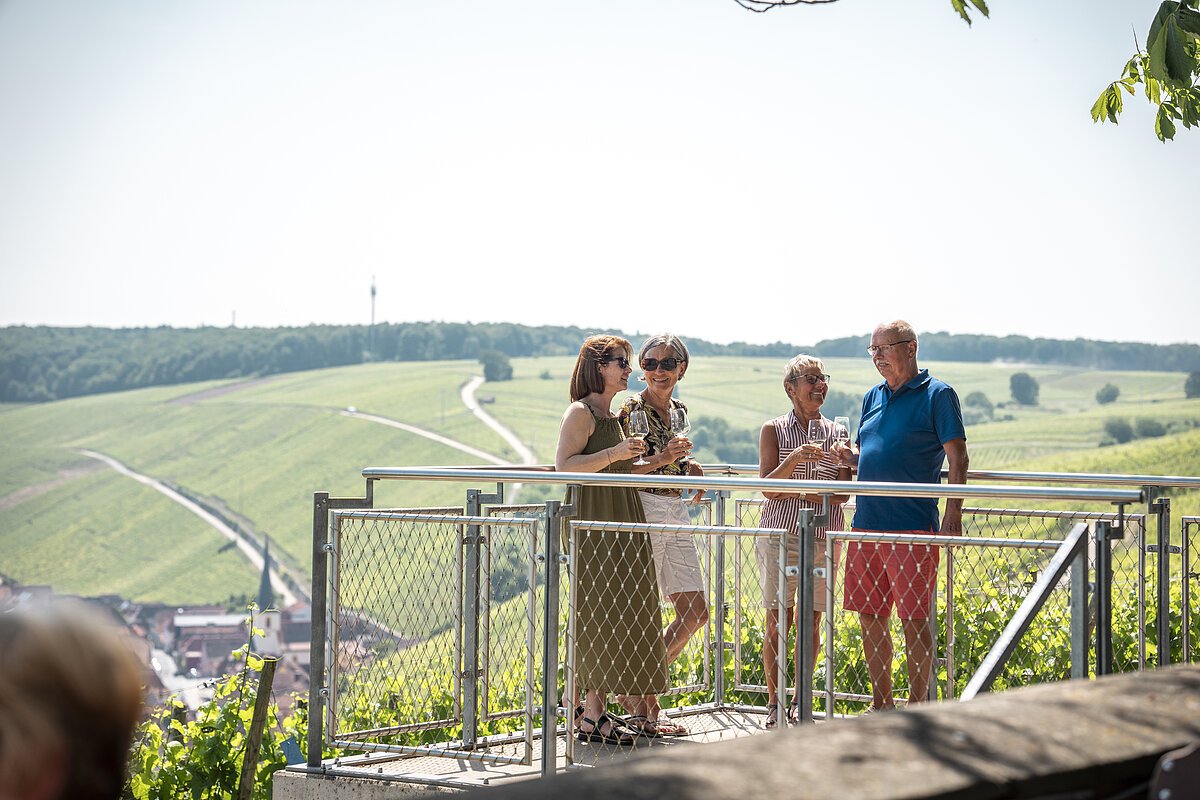 vogelsburg1 menschen in weinbergen