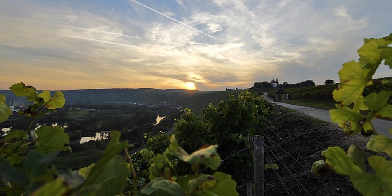 Vogelsburg Ausblick Leichter sonnenuntergang über den Weinbergen