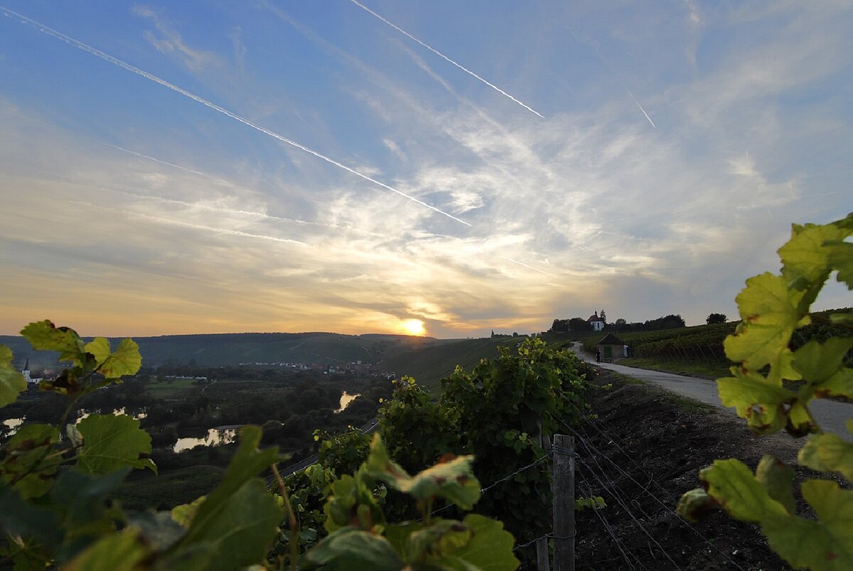 Leichter sonnenuntergang über den Weinbergen