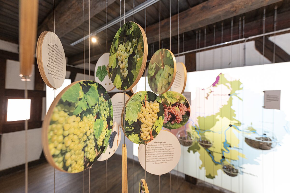 Weinaustellung Weinausstellung