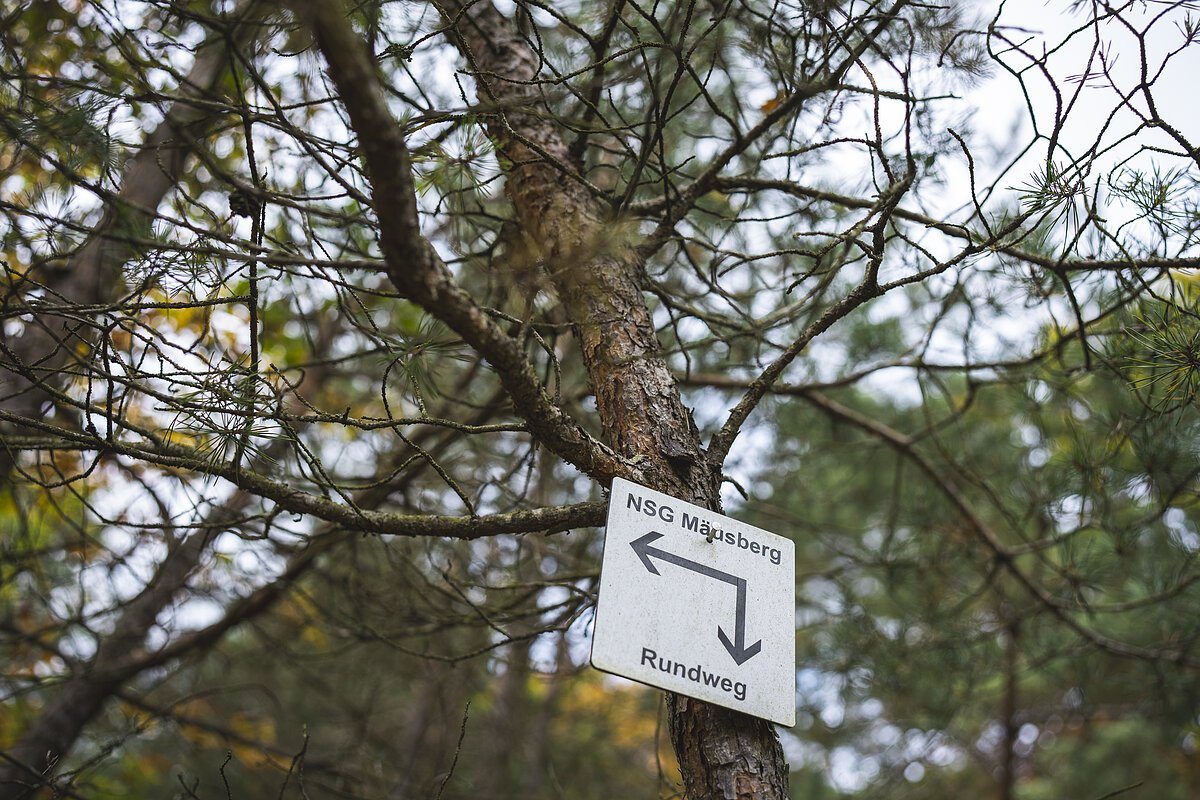 Wanderweg Wanderweg zeichen