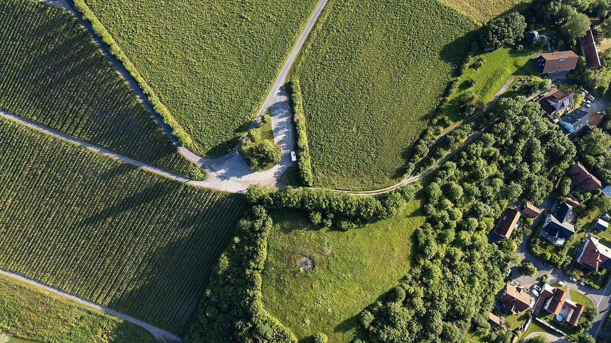 Weinberge weinberge