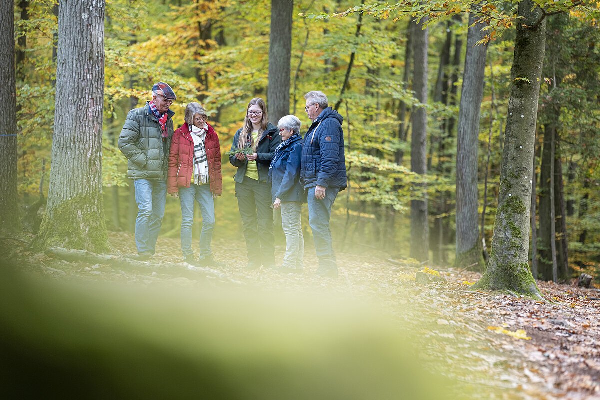 Steigerwald draussen Menschen im wald