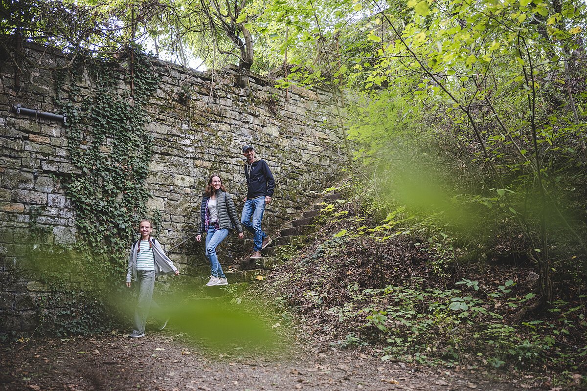 wadern Familie eine Familie wandert im Wald
