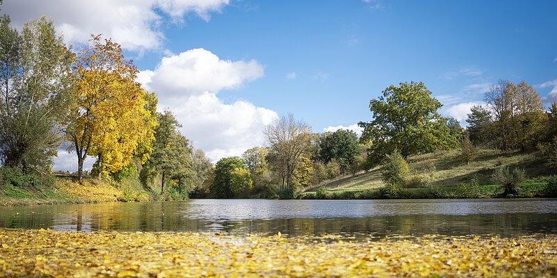 header herbst am wasser