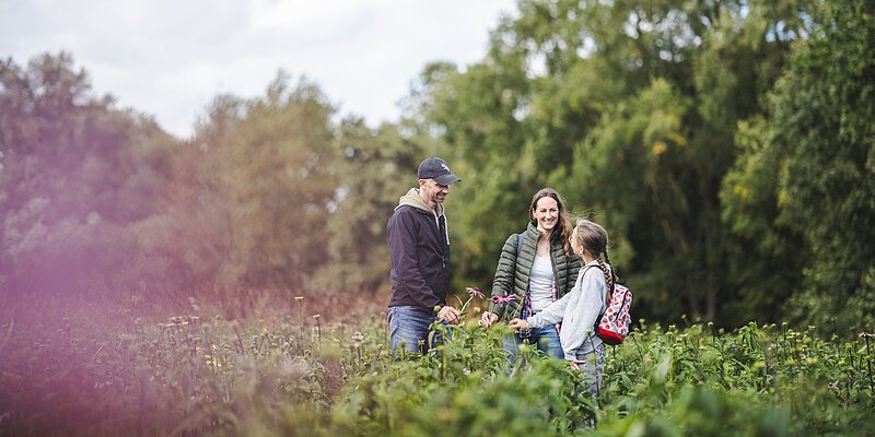 Header Familie im lilanen Feld