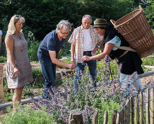 Heilkräutergarten Nützelbachaue Foto: Florian Trykowski