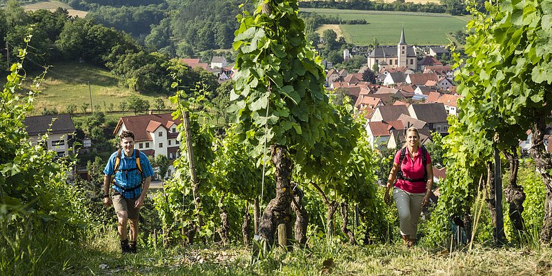 Weinwandern-Andreas Hub